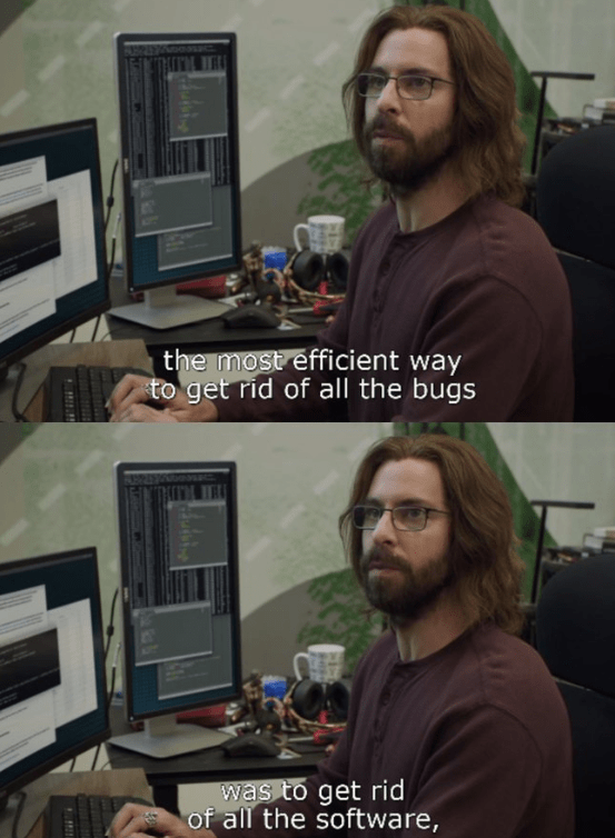 A programmer, paused mid-typing saying "The most efficient way to get rid of all the bugs was to get rid of all the software."