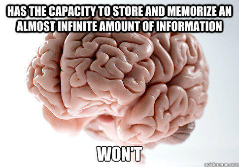 A picture of a brain captioned has the capacity to store and memorize an almost infinite amount of information won't