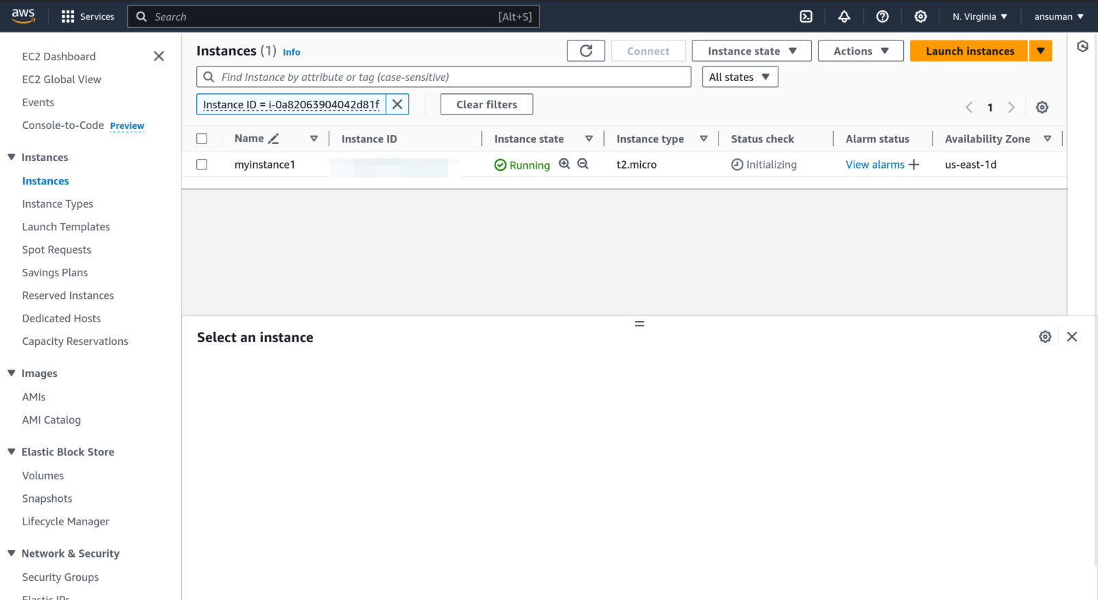 AWS EC2 Instance Running