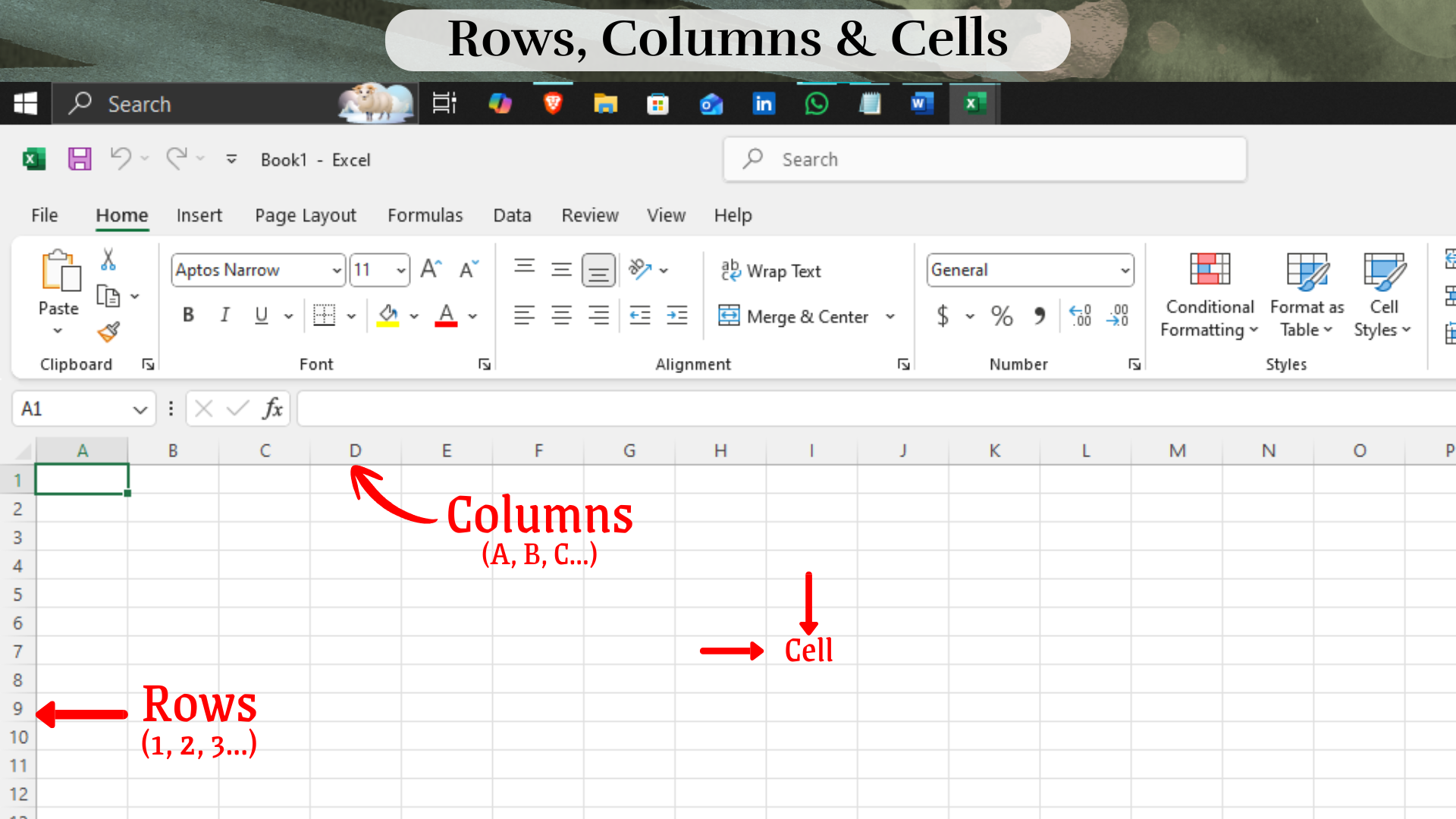 Rows, Columns & Cells