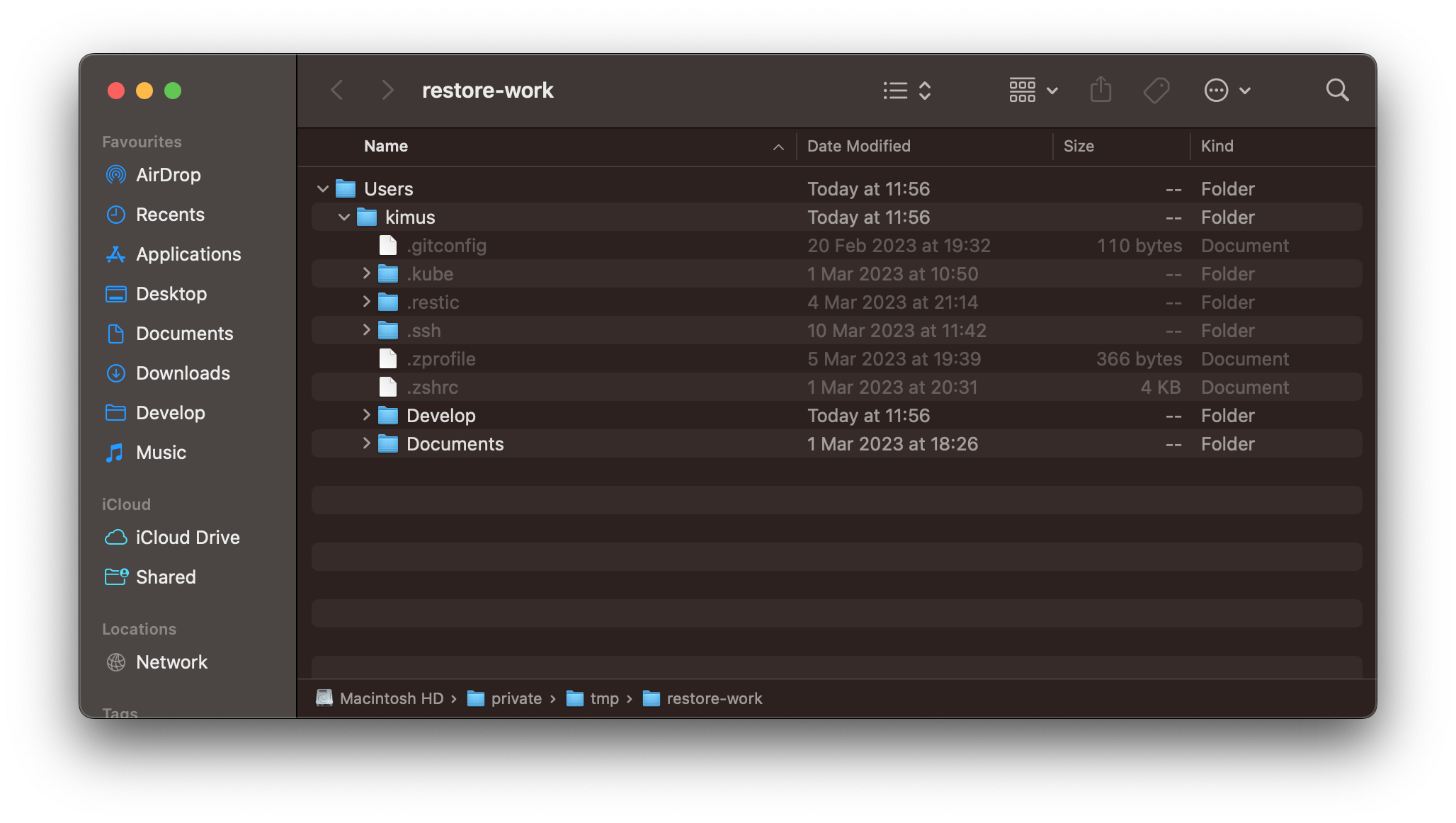 Image of my restored files