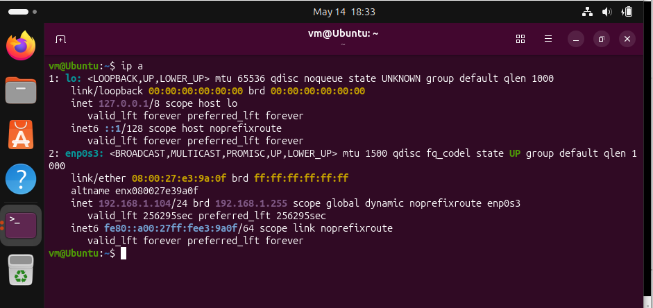 Ubuntu IP 地址输出