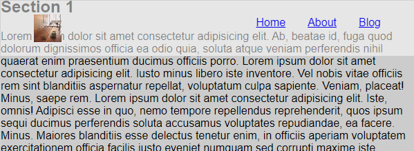 Alt Text