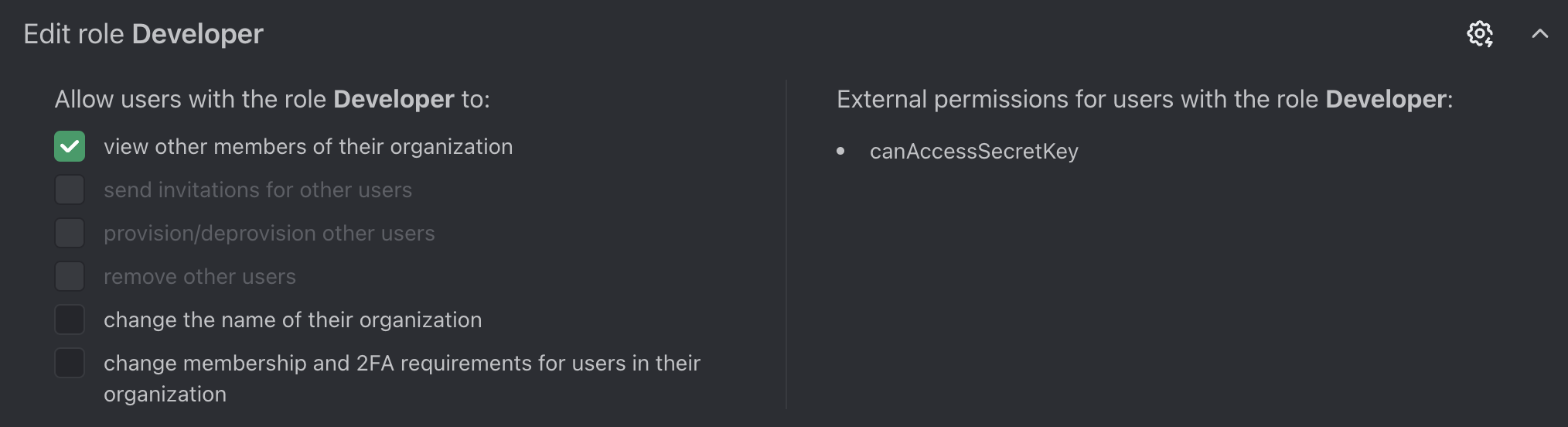 Developer role, with the new permission visible