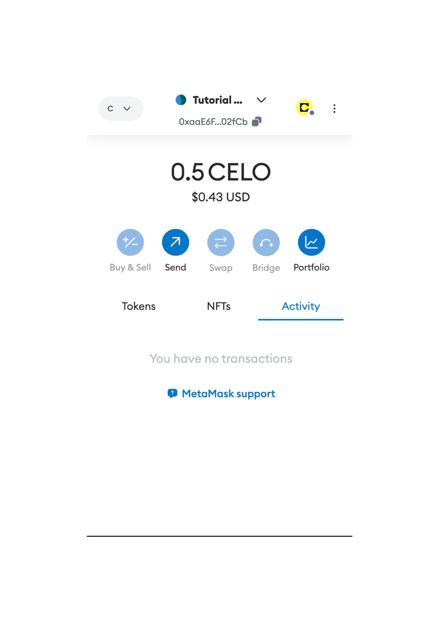 Celo Token balance on Metamask