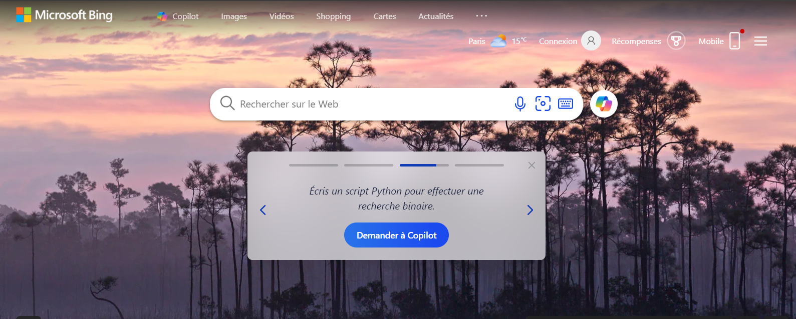 Bing Search - Copilot