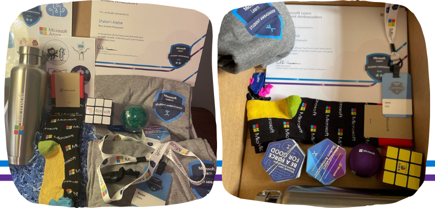 Beta Swag Box do MLSA