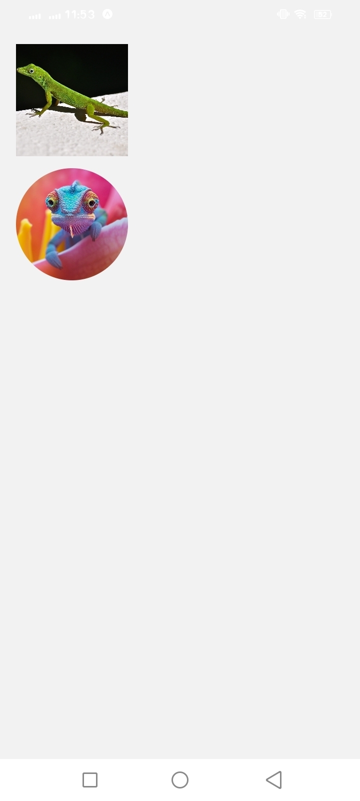 React Native Image Component