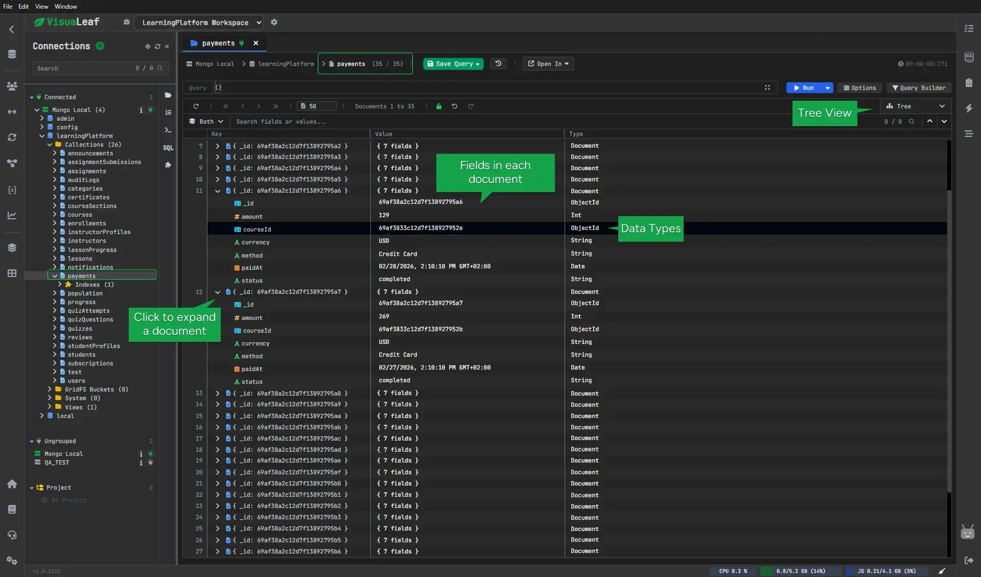 VisuaLeaf data explorer showing MongoDB documents and nested fields in a structured interface