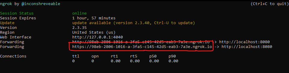 Ngrok running process