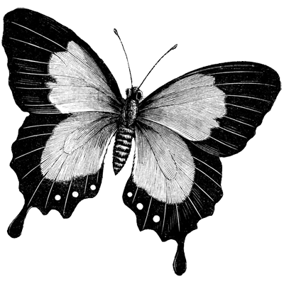 LiVanGy